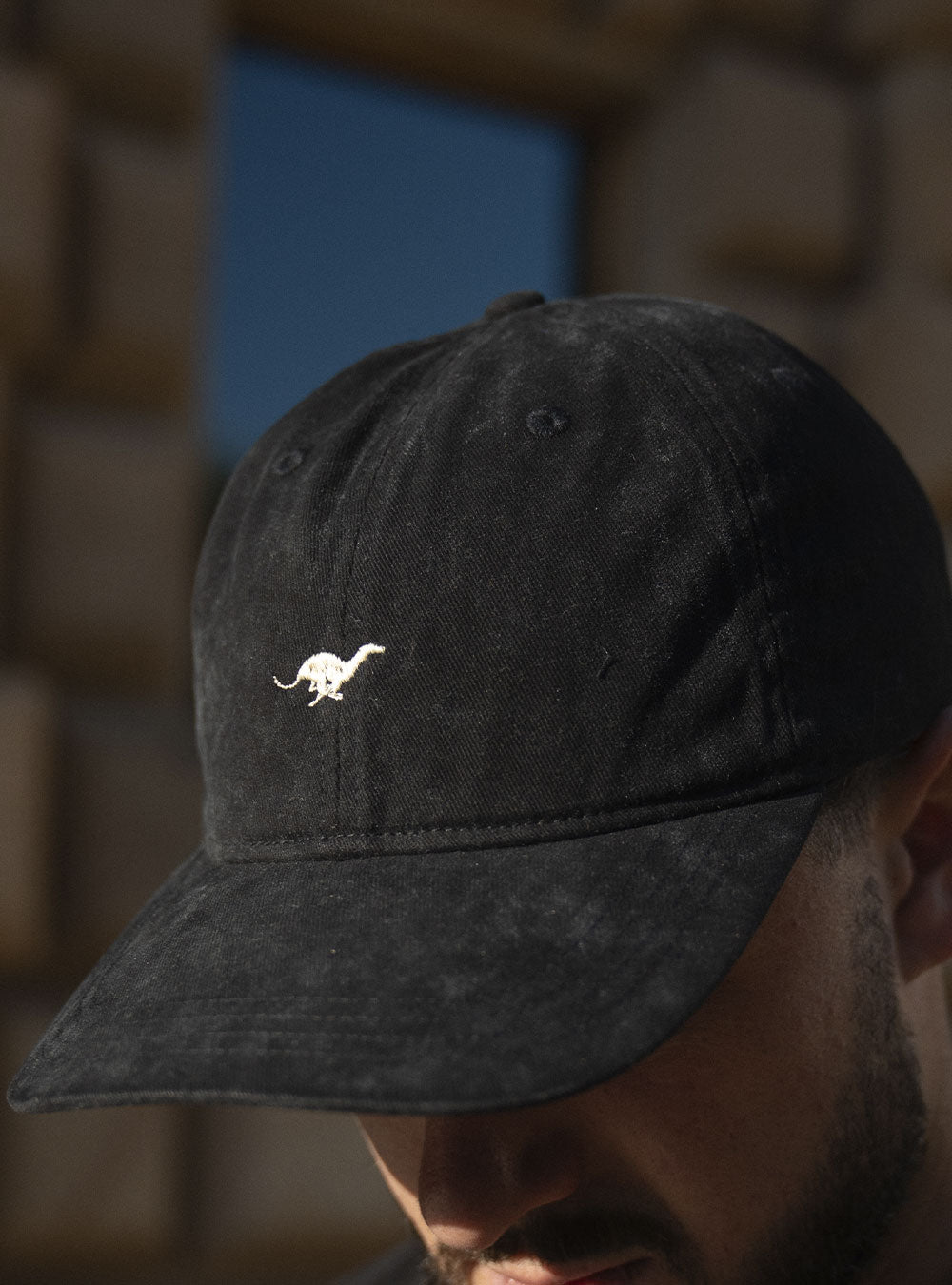 Gorra Galgo